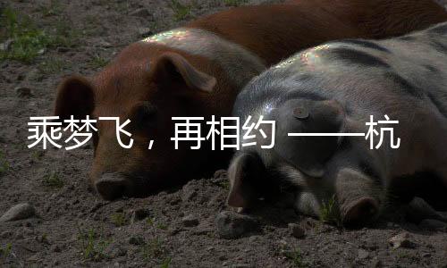 乘夢(mèng)飛，再相約 ——杭州第4屆亞殘運(yùn)會(huì)閉幕式側(cè)記