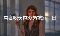 乘客咬傷乘務員被捕，日本一架赴美客機空中返航