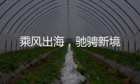 乘風出海，馳騁新境