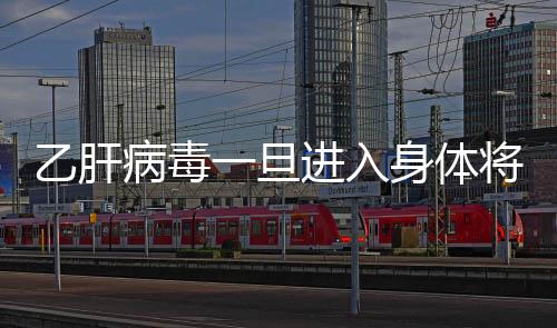 乙肝病毒一旦進入身體將終身攜帶