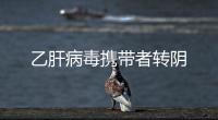 乙肝病毒攜帶者轉陰