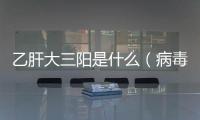 乙肝大三陽是什么（病毒感染的嚴重程度解析）