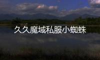 久久魔域私服小蜘蛛