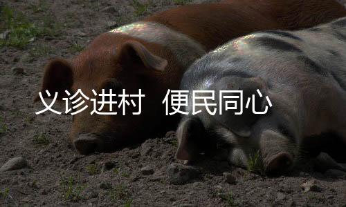 義診進(jìn)村  便民同心