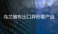 烏蘭察布出口異形薯產(chǎn)品 馬鈴薯產(chǎn)業(yè)邁上發(fā)展新臺階