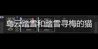 烏云踏雪和踏雪尋梅的貓區(qū)別？ 踏雪尋梅貓
