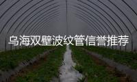 烏海雙壁波紋管信譽推薦報價