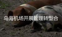 烏海機場開展管理轉型合約商人工成本使用情況專項檢查