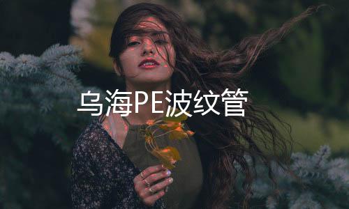 烏海PE波紋管