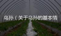 烏孫（關于烏孫的基本情況說明介紹）