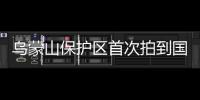烏蒙山保護區首次拍到國家二級重點保護野生動物白鷴孵蛋畫面