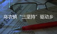 烏衣鎮(zhèn)“三堅(jiān)持”驅(qū)動(dòng)鄉(xiāng)村治理提效能_