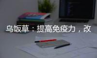 烏飯草：提高免疫力，改善腸道健康的秘密武器！