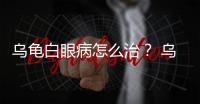 烏龜白眼病怎么治？ 烏龜白眼病嚴重了怎么辦