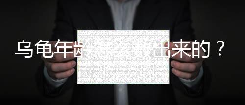 烏龜年齡怎么數(shù)出來(lái)的？烏龜?shù)臍q數(shù)怎么看?