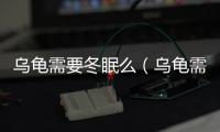 烏龜需要冬眠么（烏龜需要冬眠嗎）