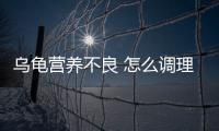 烏龜營(yíng)養(yǎng)不良 怎么調(diào)理好？烏龜營(yíng)養(yǎng)不良 怎么調(diào)理最好