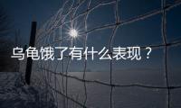 烏龜餓了有什么表現？ 烏龜肚子餓的表現