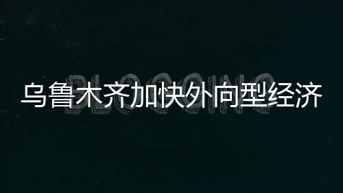 烏魯木齊加快外向型經(jīng)濟發(fā)展