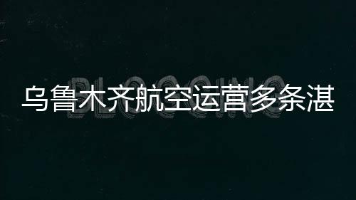 烏魯木齊航空運(yùn)營多條湛江進(jìn)出港航線,助力海南旅客春節(jié)返程