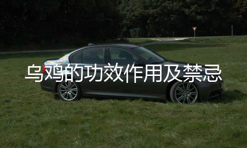 烏雞的功效作用及禁忌