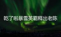 乾了啦暴雪英霸釋出老陳?風暴烈酒英雄頁面