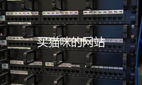 買貓咪的網站