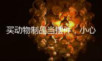 買動物制品當擺件，小心犯罪