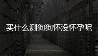買什么測狗狗懷沒懷孕呢？用什么測狗狗懷沒懷孕