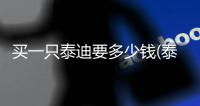 買一只泰迪要多少錢(泰迪狗多少錢一只大型)