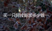 買一只阿拉斯加多少錢一只