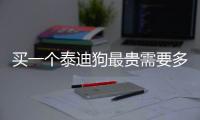 買一個泰迪狗最貴需要多少錢？ 泰迪狗多少錢能買到