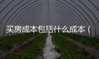 買房成本包括什么成本（買房成本）