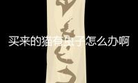 買來(lái)的貓有蟲子怎么辦啊(剛買回來(lái)的貓有味道怎么辦)