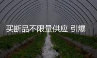 買斷品不限量供應 引爆紅星美凱龍盛宴
