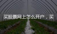 買股票網上怎么開戶，買股票如何網上開戶網上開戶流程