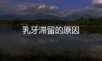 乳牙滯留的原因