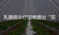 乳腺癌診療指南提出“雙策略”