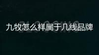 九牧怎么樣屬于幾線品牌（九牧怎么樣）