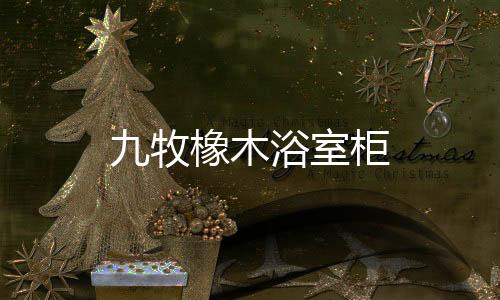 九牧橡木浴室柜
