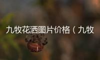 九牧花灑圖片價格（九牧花灑）