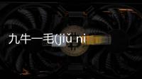 九牛一毛(jiǔ niú yī máo)的底層邏輯是什么?