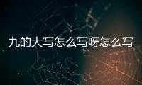 九的大寫怎么寫呀怎么寫（九的大寫怎么寫呀）