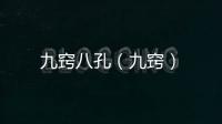 九竅八孔（九竅）