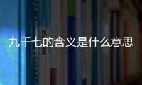 九千七的含義是什么意思（九千七）