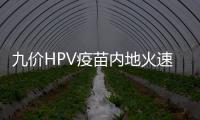 九價HPV疫苗內地火速上市 男性也能接種HPV疫苗