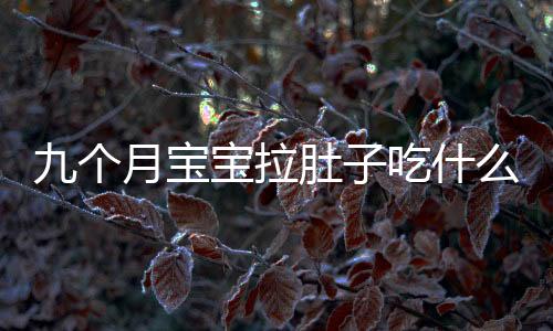 九個月寶寶拉肚子吃什么好