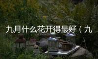 九月什么花開得最好（九月什么花開）