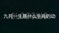 九死一生是什么生肖的動物是什么動物（九死一生是什么生肖）