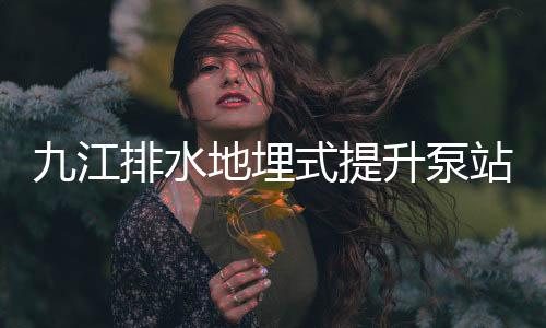九江排水地埋式提升泵站